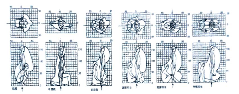 湖南室內空間設計中人體與動作空間概述最新4